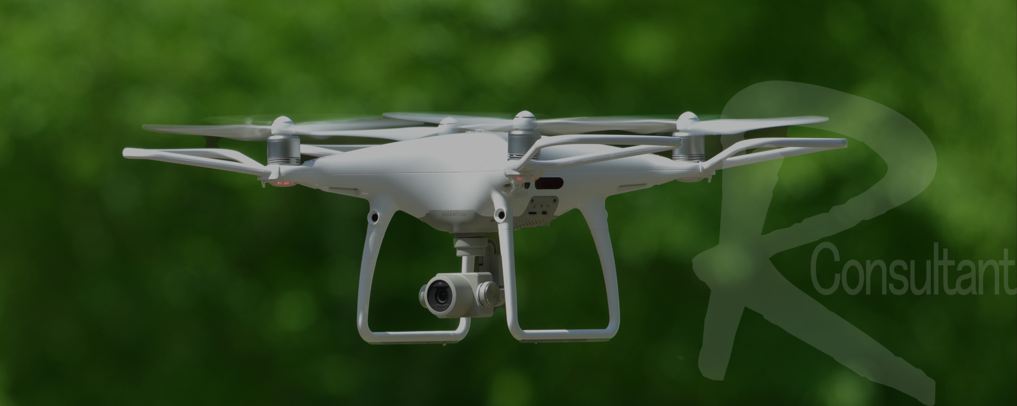 ライジングコンサルタント株式会社