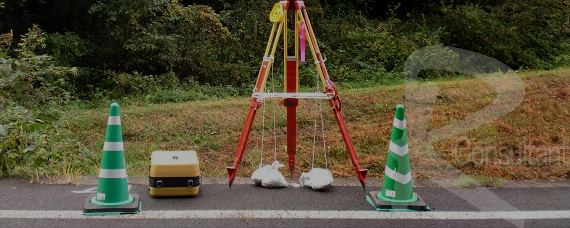 ライジングコンサルタント株式会社